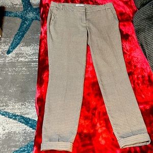 Suit Pants Dalia Collection Size 8